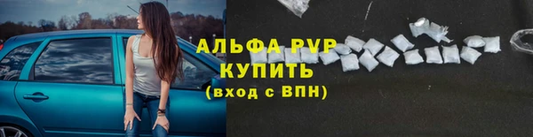 дживик Инсар