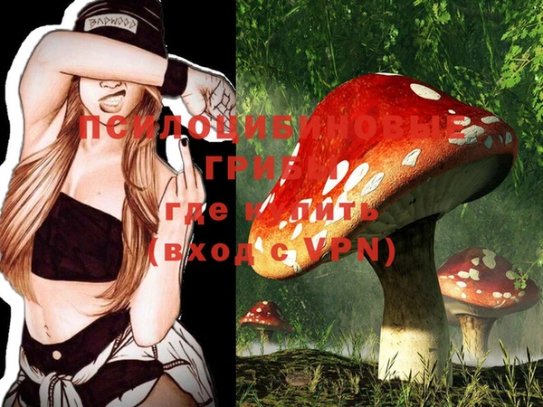 2c-b Иннополис